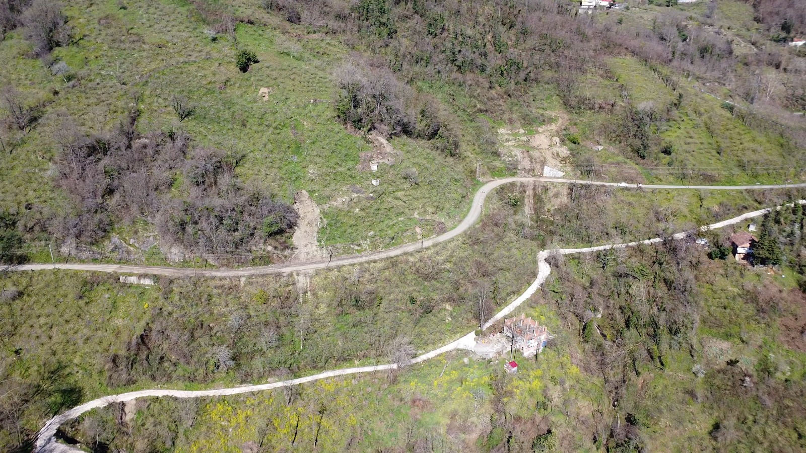 BOLATLI 4200 METREKARE FINDIK BAHÇESİ